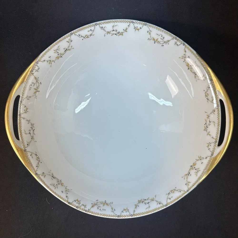Haviland & Co. Limoges 9